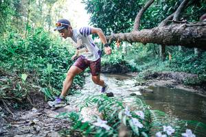 BIB: 
                            <button type="button" onclick="openModal(25430336)" class="btn btn-primary btn-sm float-right btn-popup" data-toggle="modal" data-target=".modal-high-quality">
                        <i class="fas fa-shopping-cart"></i> Add to Cart
                    </button>
                                            <button type="button" onclick="isThisMe(25430336, true)" class="btn btn-success btn-sm float-right btn-popup btn-isme hidden" data-toggle="tooltip" data-placement="bottom" title="นี่คือรูปของคุณใช่ไหม คลิกที่นี่เพื่อเอาเข้าอัลบั้ม">
                        <i class="fas fa-plus"></i> Add to album
                    </button>
                    <button type="button" onclick="isThisMe(25430336, false)" class="btn btn-warning btn-sm float-right btn-popup btn-isnotme hidden">
                        <i class="fas fa-ban"></i> Remove from album
                    </button>